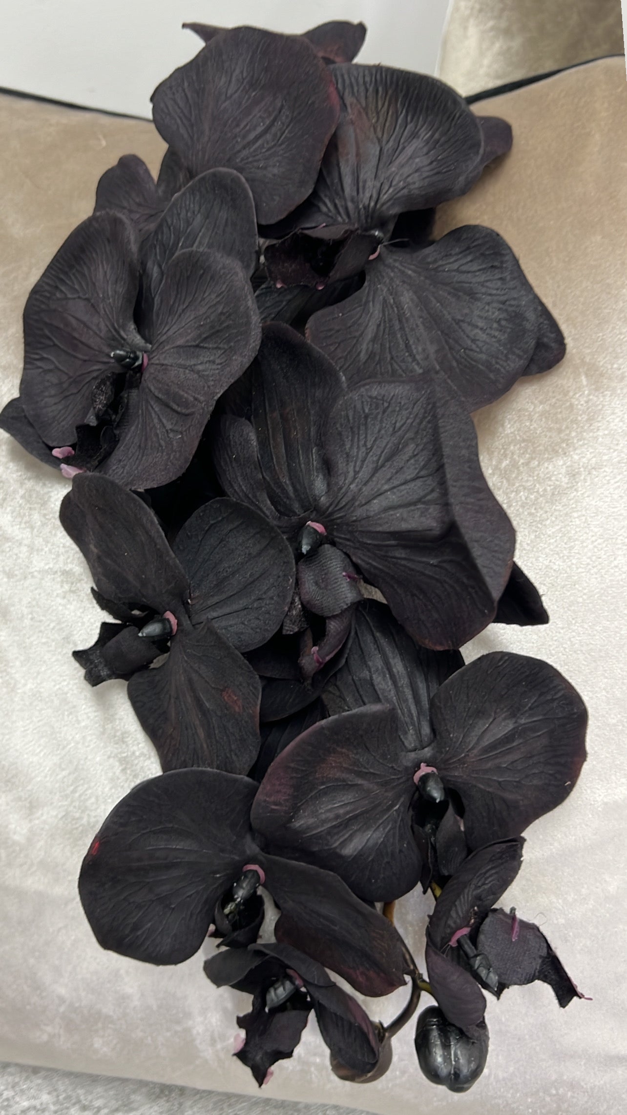 Black large orchid flower - Luscious Homewares