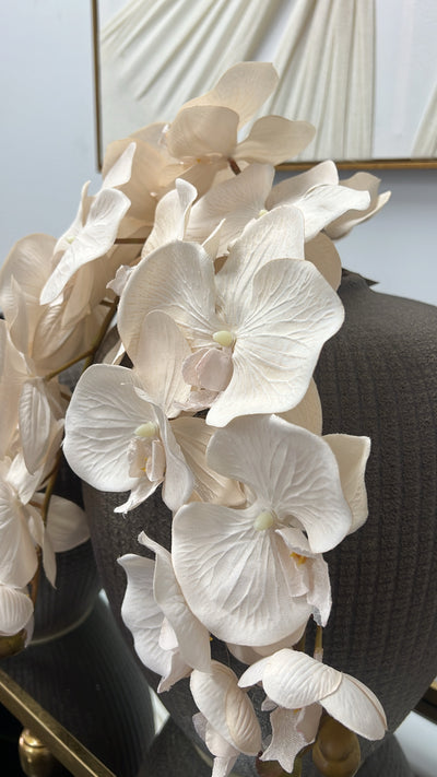 Soft nude large orchid flower stem