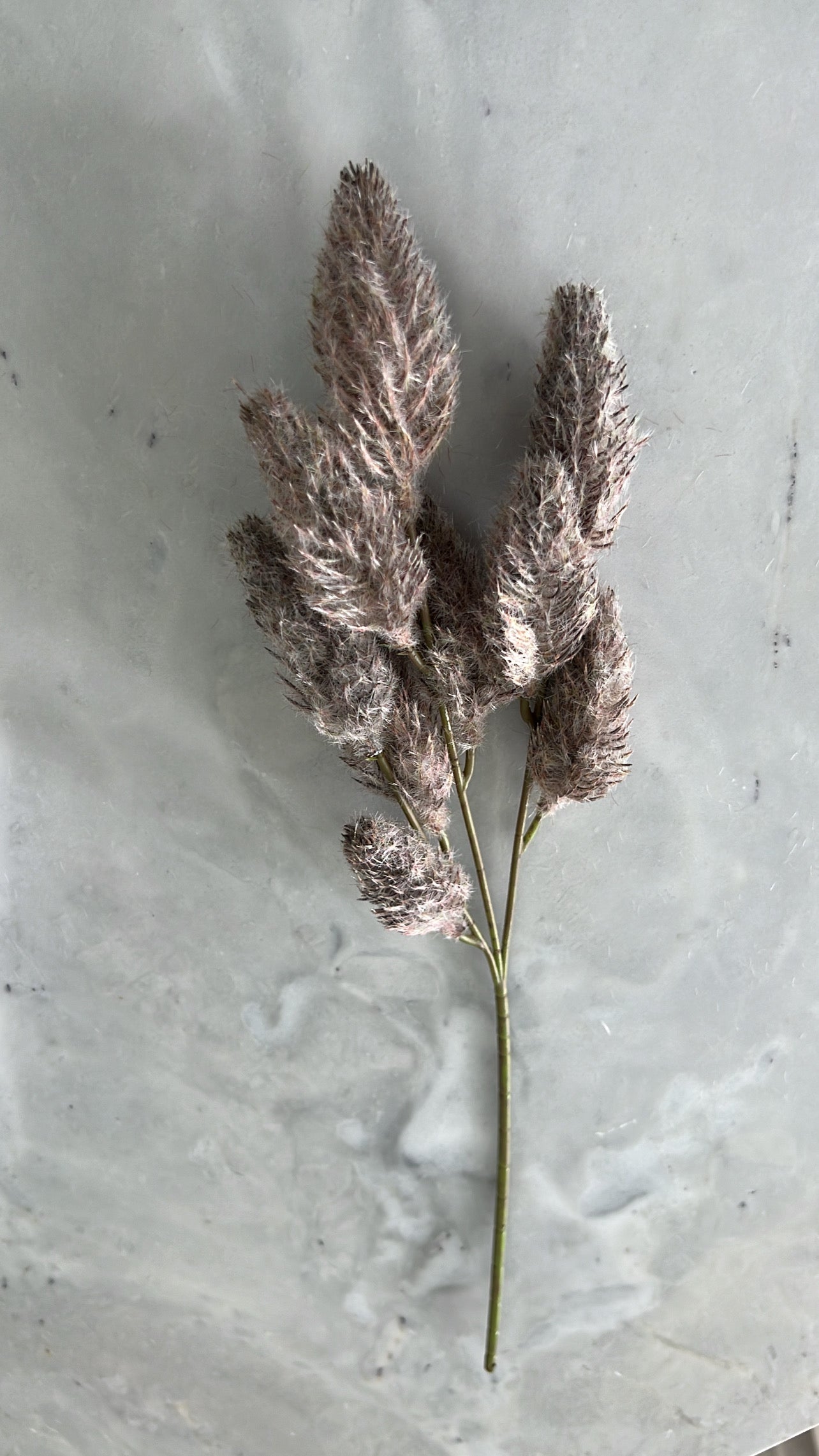 Bunny tail Faux stem                                 Available in 4 colours - Luscious Homewares