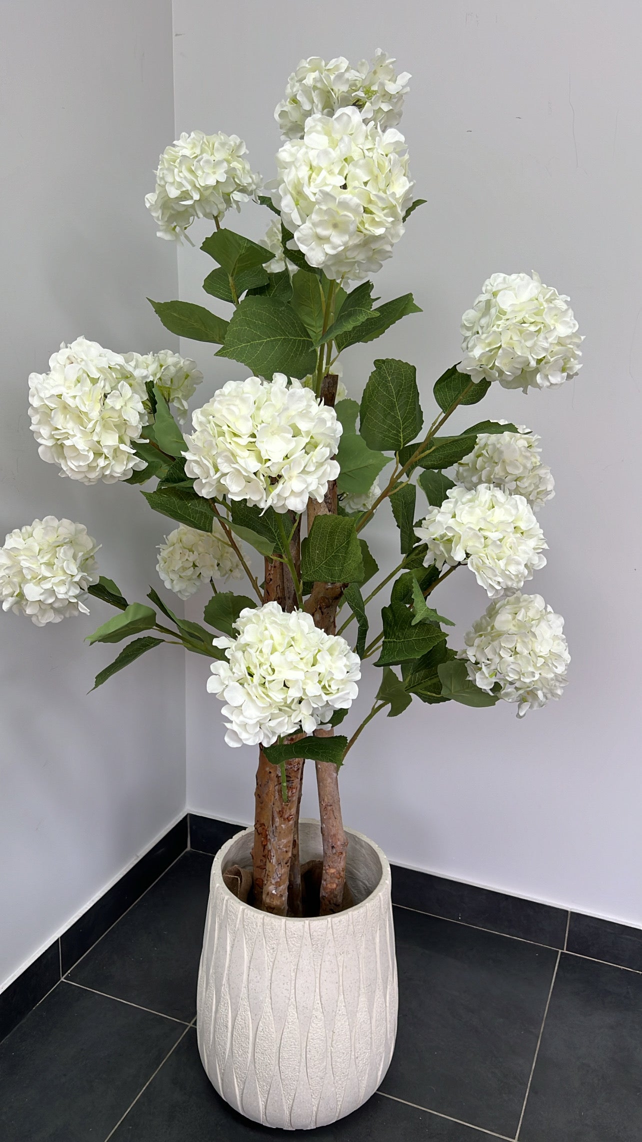 Hydrangea tree plant + pot planter