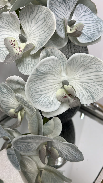 Grey sage real touch orchid - Luscious Homewares
