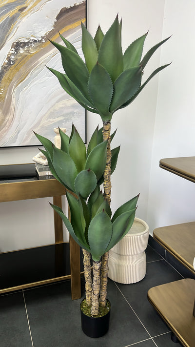 Agave succulent green artificial plant tree - Luscious Homewares