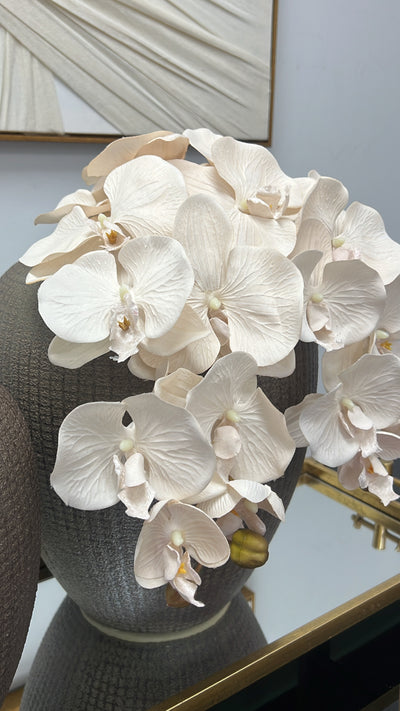 Soft nude large orchid flower stem