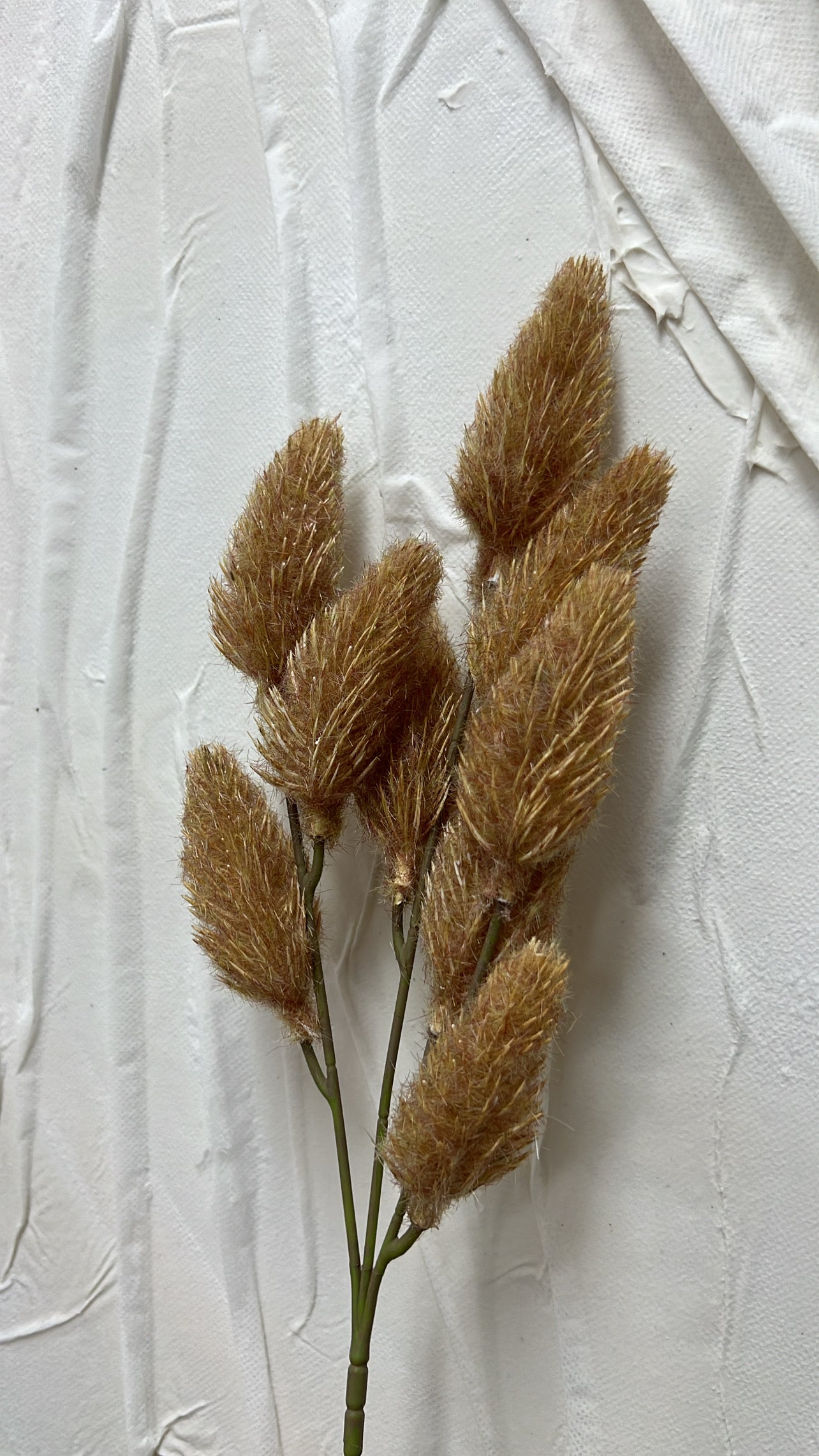 Bunny tail Faux stem                                 Available in 4 colours - Luscious Homewares
