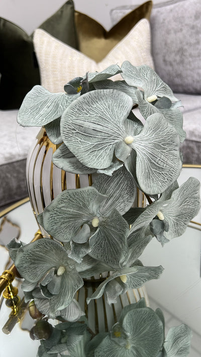 Sage green large orchid flower - Luscious Homewares