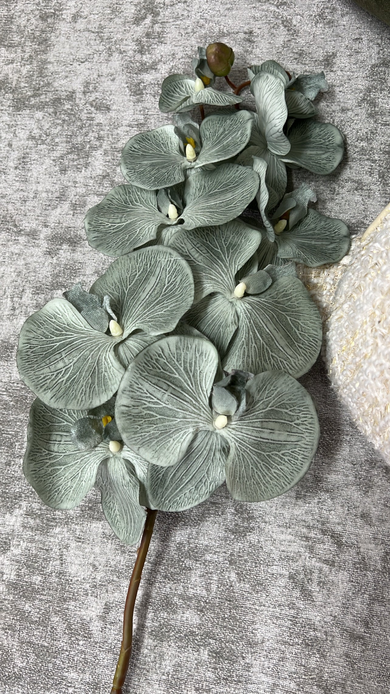 Sage green large orchid flower - Luscious Homewares