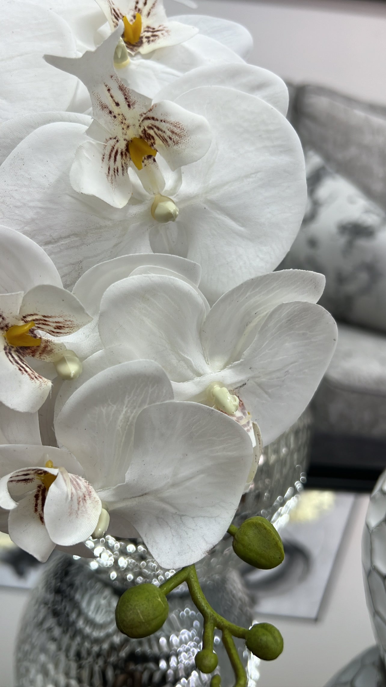 White large orchid flower - Luscious Homewares