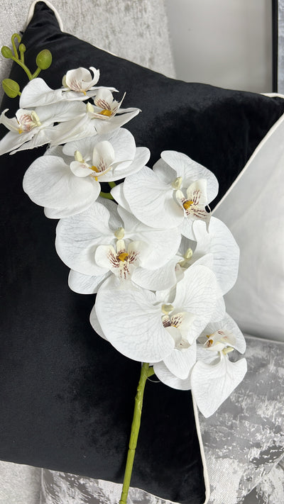 White large orchid flower - Luscious Homewares