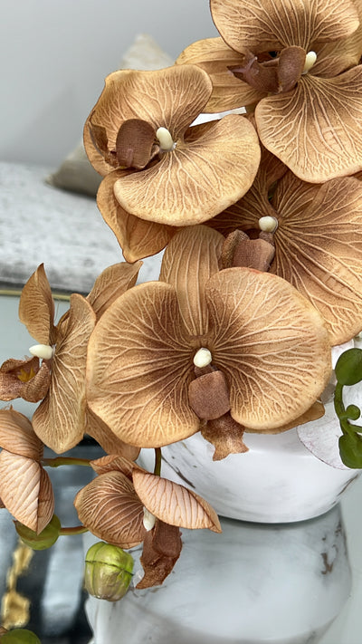 Bronze large orchid flower - Luscious Homewares